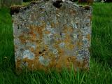 image of grave number 563095